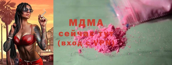 хмурый Арсеньев