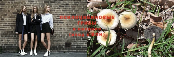 хмурый Арсеньев