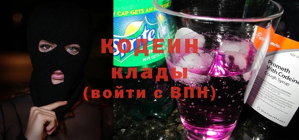 хмурый Арсеньев