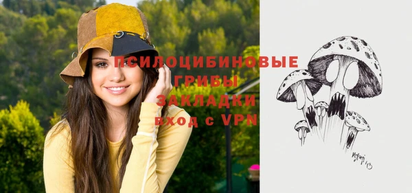 хмурый Арсеньев