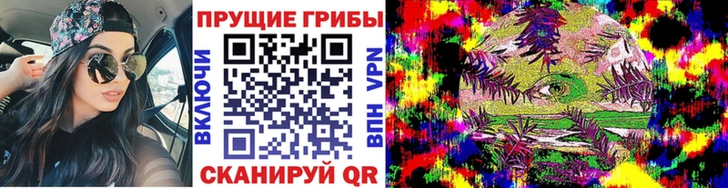 Псилоцибиновые грибы Psilocybe  Новый Оскол 